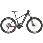 Hardtail