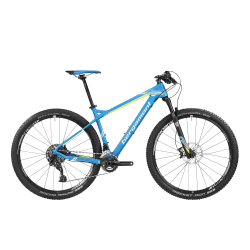 Revox Team Mountainbike 